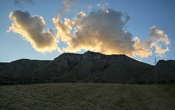 Grasebene Backdrop