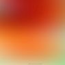 Farbflaechen-IBM-Thinkbook-Bildschirm-Hintergrund
