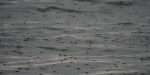 Regentropfen Hintergrund Bild