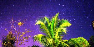 Palmen Himmel Hintergrund