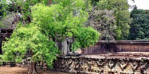 Angkor Wat Hintergrund Bild