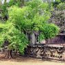 Angkor-Wat-Hintergrund-Bild
