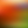 Farbverlaeufe-Workbench-Hintergrundbild