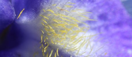 Die besten Desktop-Motive