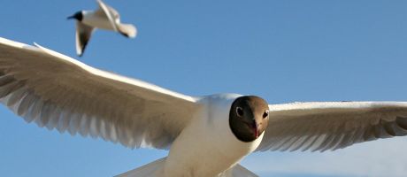 Die besten Galaxy S4 Hintergrundbilder