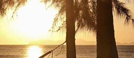 Die besten Iphone-5-Hintergrundbilder