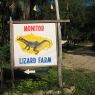 Lizard-Farm-Hintergrund-Bild