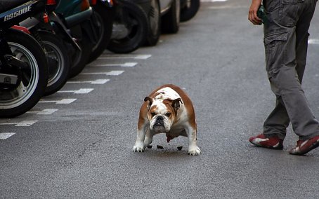 Motorraeder Bildschirm Hintergrund