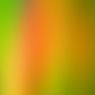 Farbverlauf-Windows-Server-Hintergrund-Bild