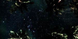Dunkelheit Urlaub Nachthimmel Wallpaper