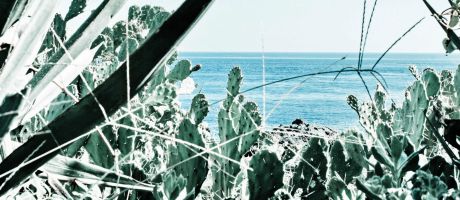 Die besten Windows-8-Wallpaper