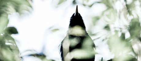 Die besten Windows-8-Wallpaper