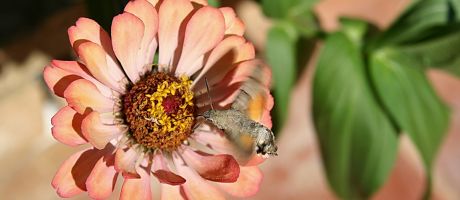 Die besten 1152-x-720-Wallpaper