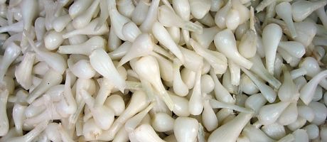 Die besten 1224-x-768-Wallpaper