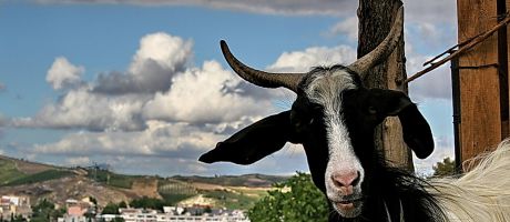 Die besten 1265-x-957-Wallpaper