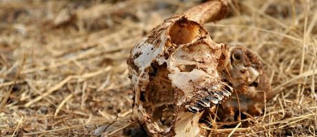 Die besten 1280-x-720-Wallpaper