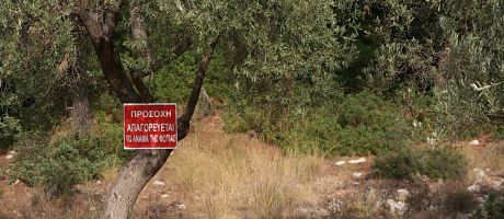 Die besten 1280-x-900-Wallpaper