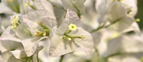 Die besten 1344-x-740-Wallpaper