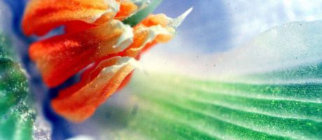 Die besten 1680-x-1050-Wallpaper