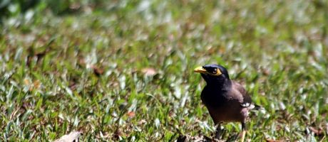 Die besten 800-x-480-Wallpaper