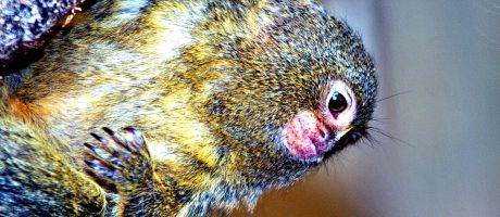 Die besten Bildschirm-Hintergruende