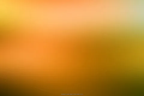 Weich verlaufender Farbverlauf von Gelb oben über Orange bis Dunkelgrün und Braun unten, leicht verschwommen.