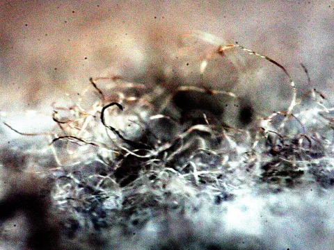 Nahaufnahme eines Gewirrs aus feinen, gekräuselten Fasern in Silber, Weiß und Braun vor einem unscharfen, grauen Hintergrund.