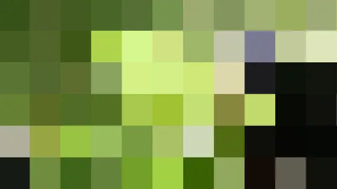 Pixelmosaik aus einem Raster grüner, hellgelber und schwarzer Quadrate, einzelne Felder sind violettgrau oder grau, rechts unten dunkel.
