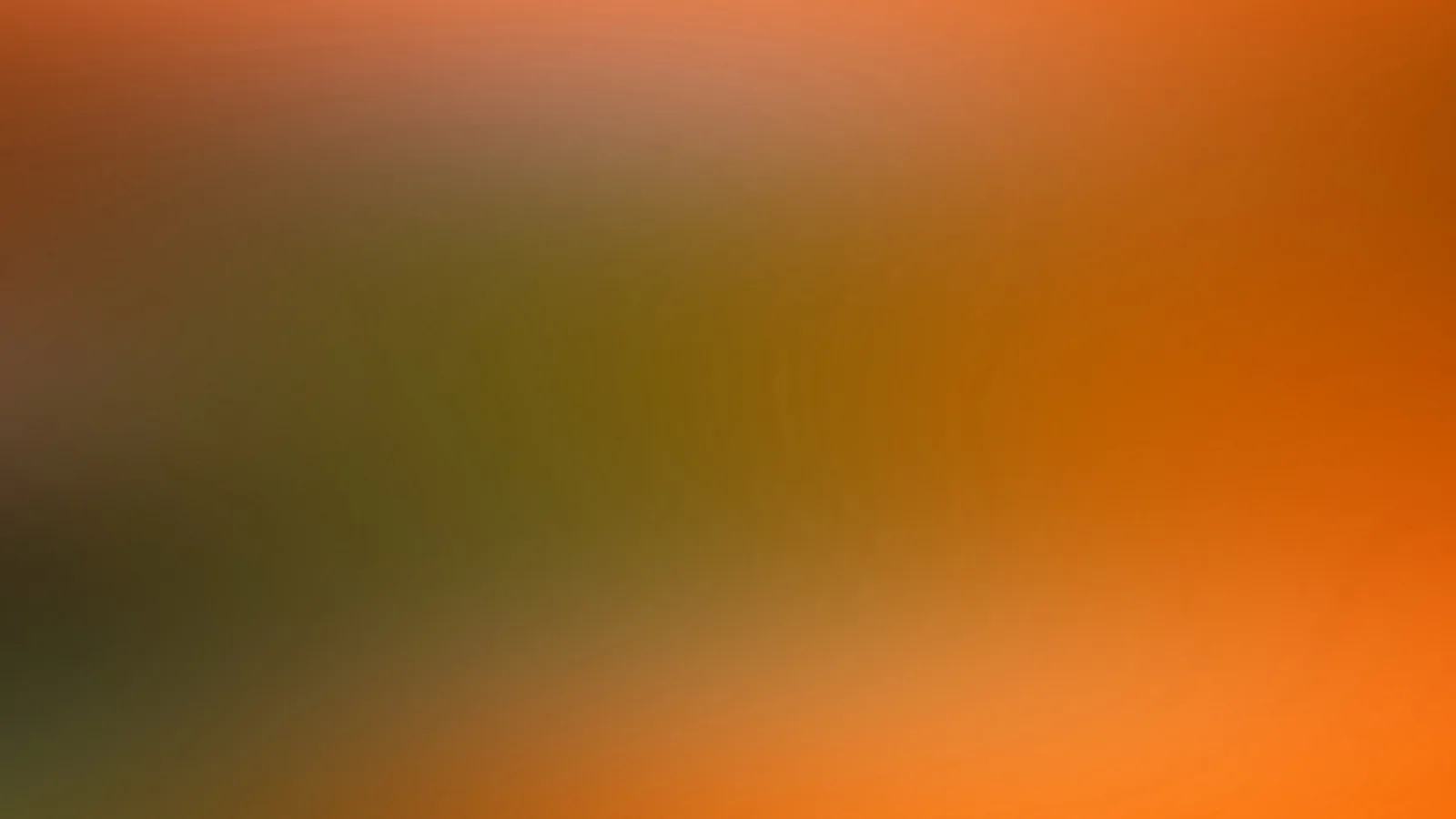 Weich verlaufende Farbflächen in Orange, Olivgrün und Braun, die diagonal ineinander übergehen.