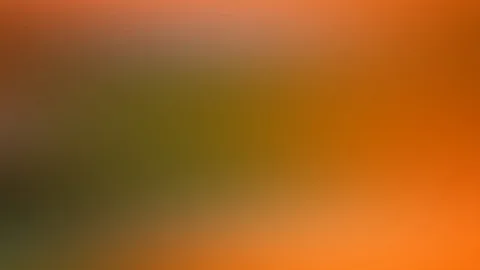 Weich verlaufende Farbflächen in Orange, Olivgrün und Braun, die diagonal ineinander übergehen.