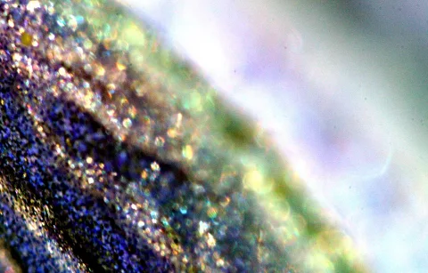 Nahaufnahme einer blau-violetten, körnigen Oberfläche mit schillernden Glitzerpartikeln, die nach rechts in verschwommenes Grün und Lavendel übergeht.