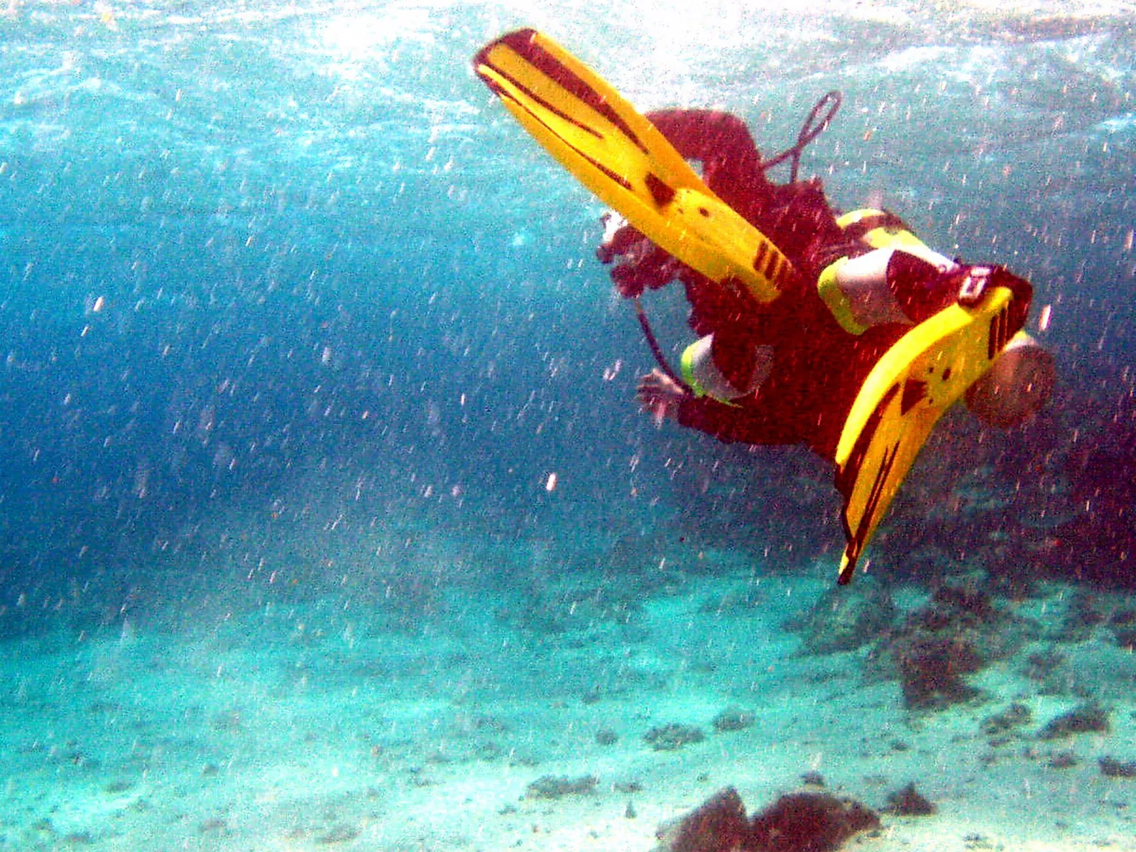Ein Taucher in roter Tauchbekleidung mit gelben Flossen schwimmt kopfüber über einem sandigen Meeresboden im türkisblauen Wasser.