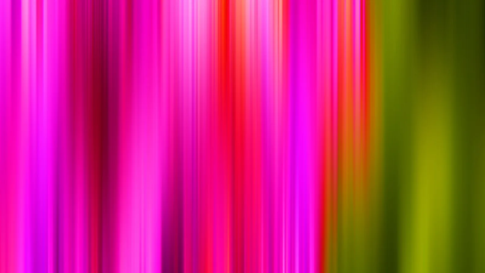 Vertikale, unscharfe Streifen in Pink, Magenta, Rot und Olivgrün, die von links nach rechts ineinander übergehen.
