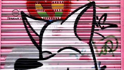 Schwarz gezeichnete Graffiti-Figur mit roten Herzen und grünen Schnörkeln auf einem pink gestrichenen Rollladen, links oben die Signatur Peruvian's.