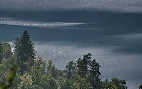 Dunkler See mit hellen Lichtreflexen, im Vordergrund Nadel- und Laubbäume am Ufer.