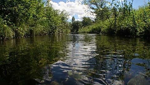 Ein flacher Bach fließt von vorne nach hinten durchs Bild, an beiden Ufern wachsen dichte grüne Büsche und Gras, darüber ein blauer Himmel mit Wolken. Auf der Wasseroberfläche spiegeln sich Ufer und Himmel leicht gekräuselt.