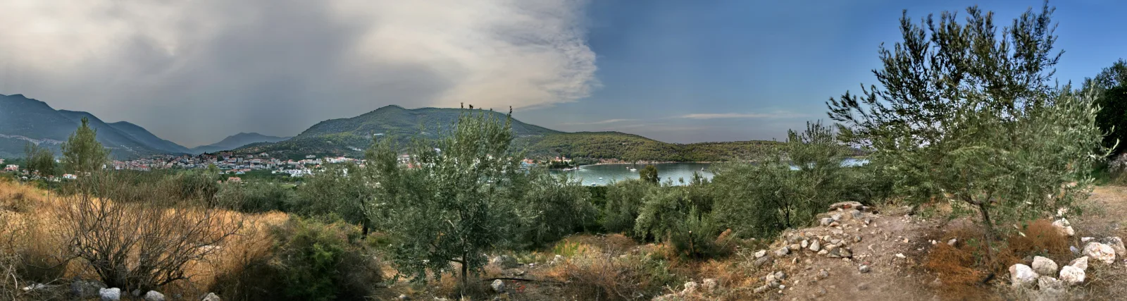 Panoramaaufnahme eines Olivenhangs im Vordergrund, dahinter eine ruhige Bucht mit Wasser, bewaldeten Hügeln und einer kleinen Stadt am linken Ufer unter bewölktem Himmel.