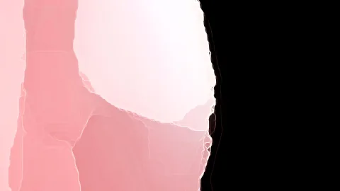 Abstrakte Komposition aus weichen, organischen Formen in Rosa- und Weißtönen, rechts von einer schwarzen Fläche begrenzt.
