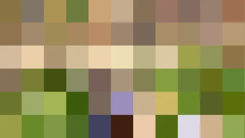 Abstraktes Mosaik aus quadratischen Pixelblöcken in Oliv-, Beige-, Grün- und Brauntönen, dazwischen einzelne Flächen in Lila und Dunkelblau.
