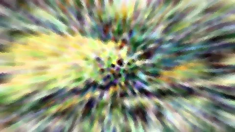 Abstrakte Komposition aus bunten, radial vom Zentrum nach außen laufenden Farbstrahlen in Gelb, Grün, Violett und Dunkelblau, die einen Zoomeffekt erzeugen.