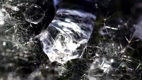 Makroaufnahme eines Wassertropfens, umgeben von feinen hellen Fasern vor dunklem Hintergrund, mit vielen Lichtreflexen.