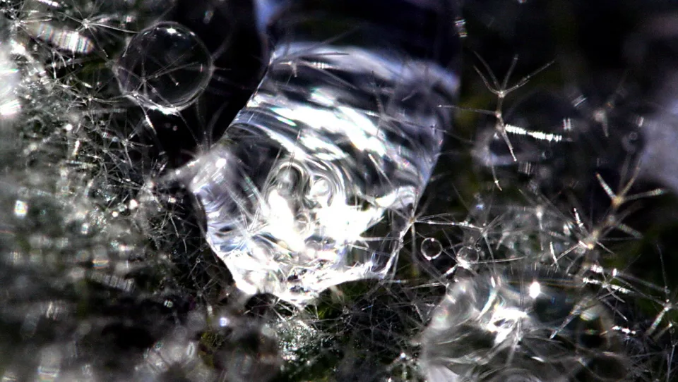 Makroaufnahme eines Wassertropfens, umgeben von feinen hellen Fasern vor dunklem Hintergrund, mit vielen Lichtreflexen.
