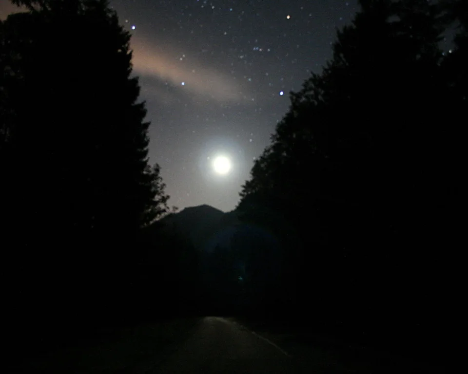 Dunkle Waldstraße bei Nacht, über einem Berggrat leuchtet ein heller Vollmond am Sternenhimmel.