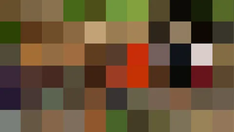 Pixelmosaik aus rechteckigen Farbblöcken in Braun, Oliv, Grün, Rot und Schwarz, in zehn Spalten und sechs Reihen angeordnet.
