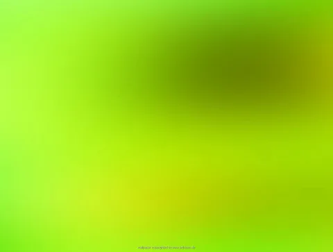 Weich verlaufender Hintergrund in Giftgrün und Gelbgrün, oben rechts ein dunkler olivgrüner Fleck, unten ein helleres Gelb.