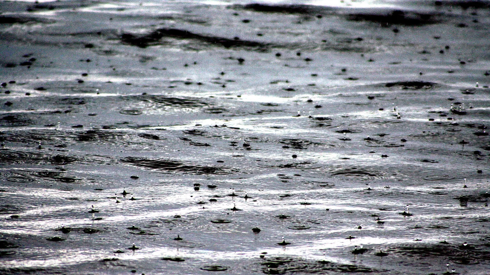 Regentropfen fallen auf eine graue Wasseroberfläche, um die Einschläge bilden sich kleine Kreise.