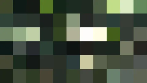 Mosaik aus quadratischen Farbfeldern in Dunkelgrün, Schwarz und Grau, mit einzelnen hellen Feldern in Hellgrün und Creme.
