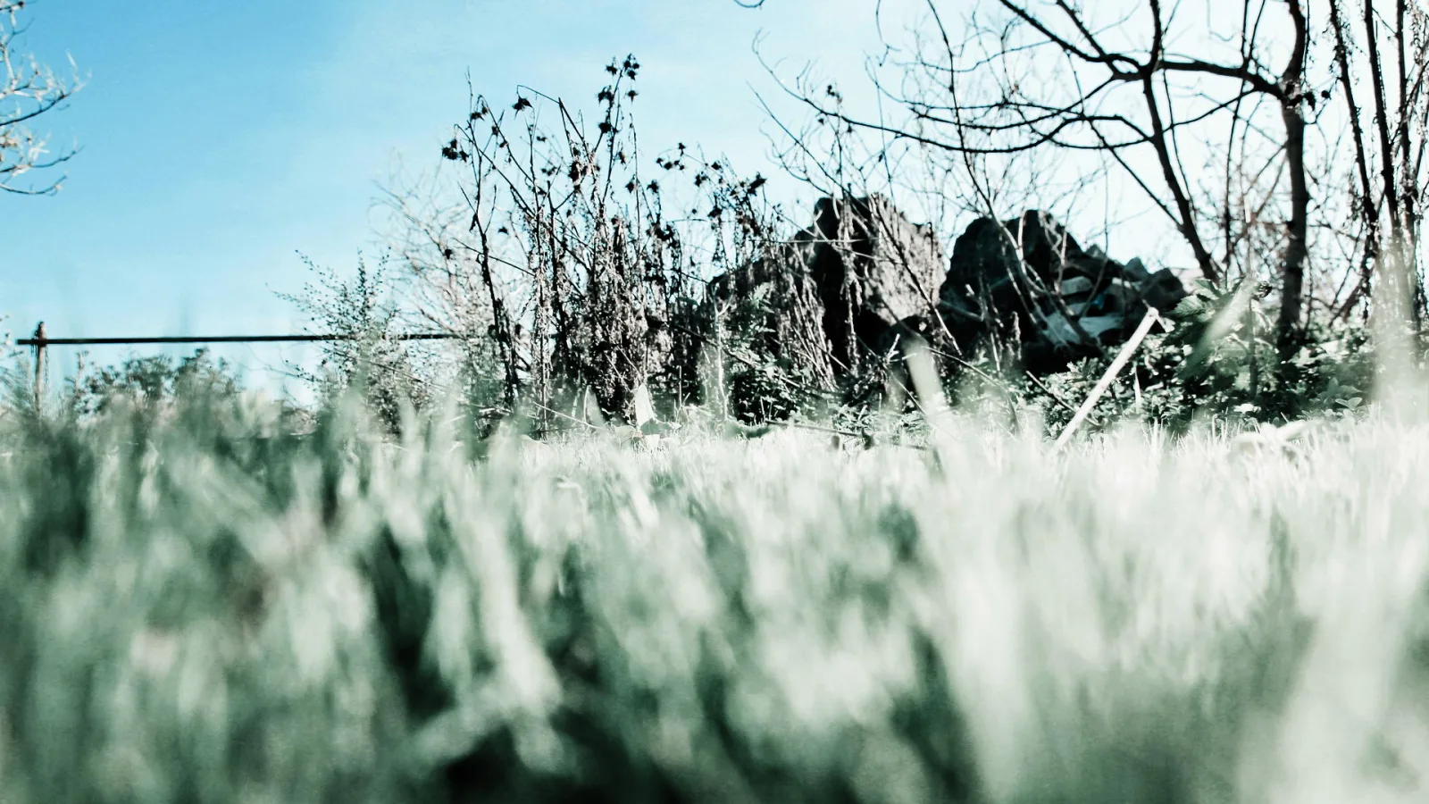 Niedriges Gras im Vordergrund, dahinter kahle Sträucher und dunkle Felsen unter blauem Himmel