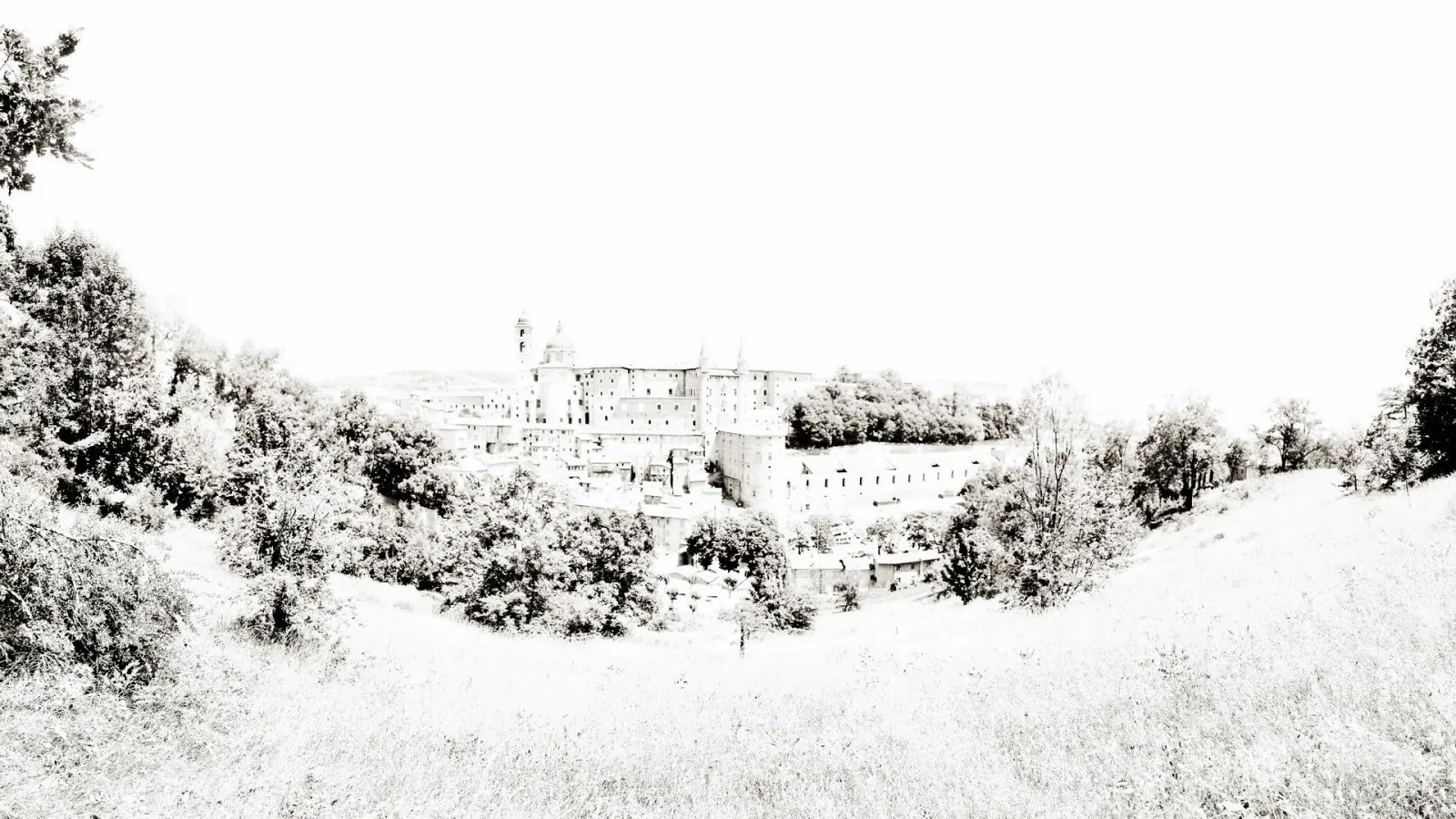 Panoramablick auf die Hügelstadt Urbino mit großem Palast und Türmen, davor Bäume und eine Wiese, alles in hellen Sepiatönen.