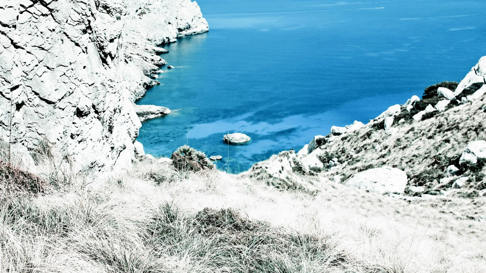 Felsige Küste mit weiß verfärbten Klippen, im Vordergrund trockenes Gras, rechts Felsbrocken, in der Bucht ein kleiner Felsen im tiefblauen Meer.